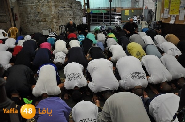 msajed amer qder 804 (44).JPG